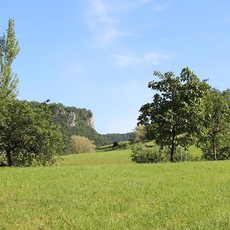 Domaine De Bellevue Gite Du Mont Poupet Marnoz Zewnętrze zdjęcie
