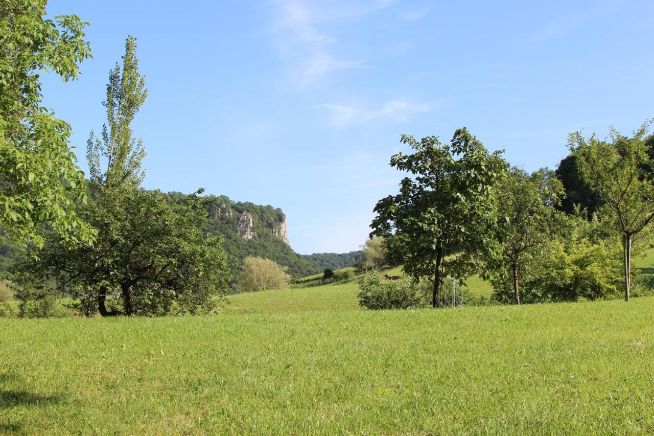 Domaine De Bellevue Gite Du Mont Poupet Marnoz Zewnętrze zdjęcie