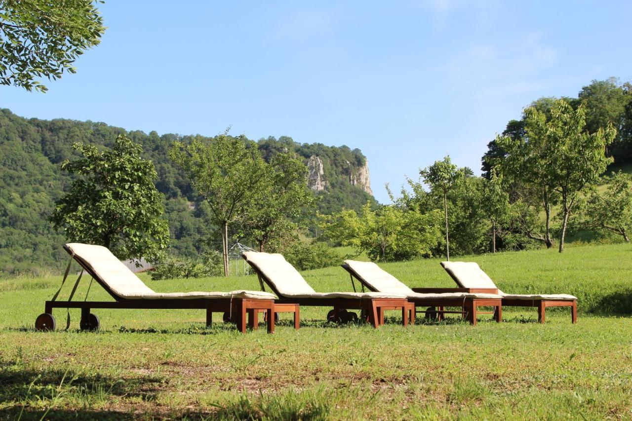 Domaine De Bellevue Gite Du Mont Poupet Marnoz Zewnętrze zdjęcie